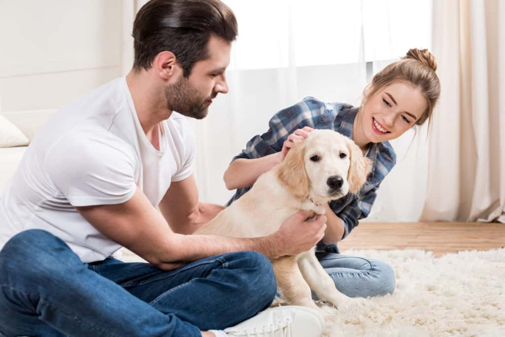 how to pick the perfect pet name for your man